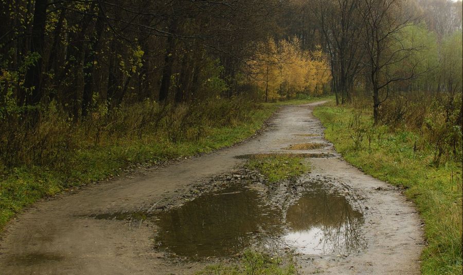 фото "глазастая" метки: , 