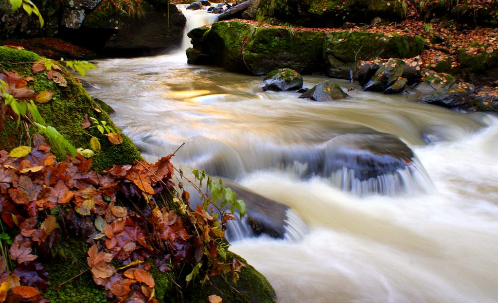 photo "***" tags: landscape, water