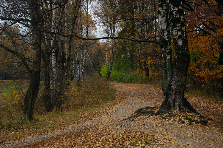 photo "***" tags: landscape, autumn