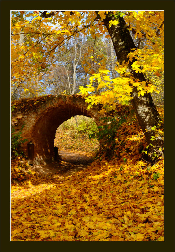 фото "Осень" метки: пейзаж, осень