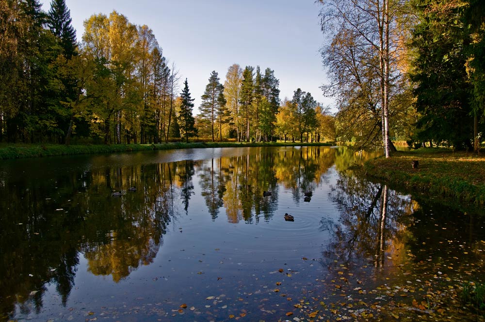 photo "***" tags: landscape, autumn