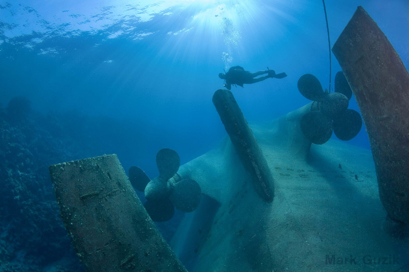 фото "Poseydonia" метки: подводные, 