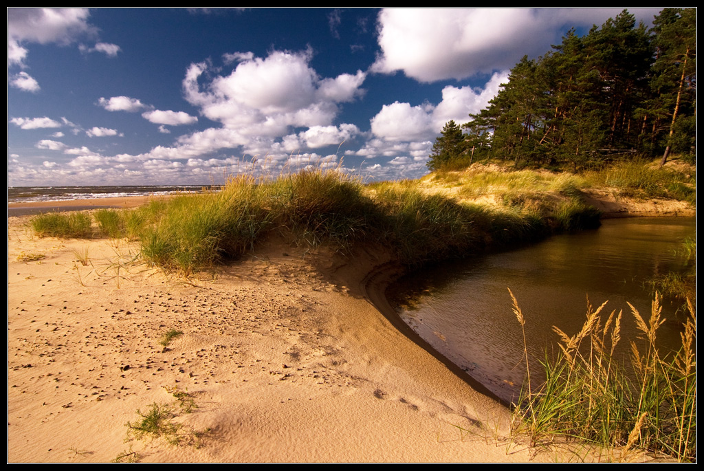 photo "***" tags: landscape, autumn, water