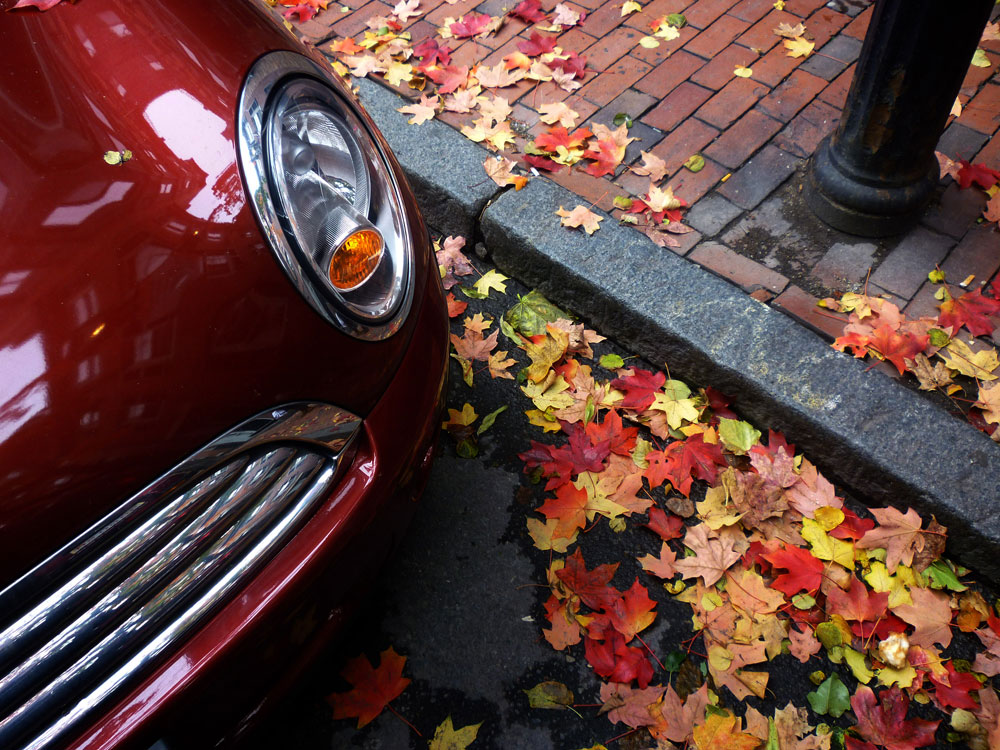 фото "Boston Fall" метки: путешествия, Северная Америка