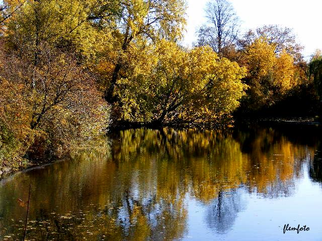 фото "Reflection in the lake." метки: природа, 