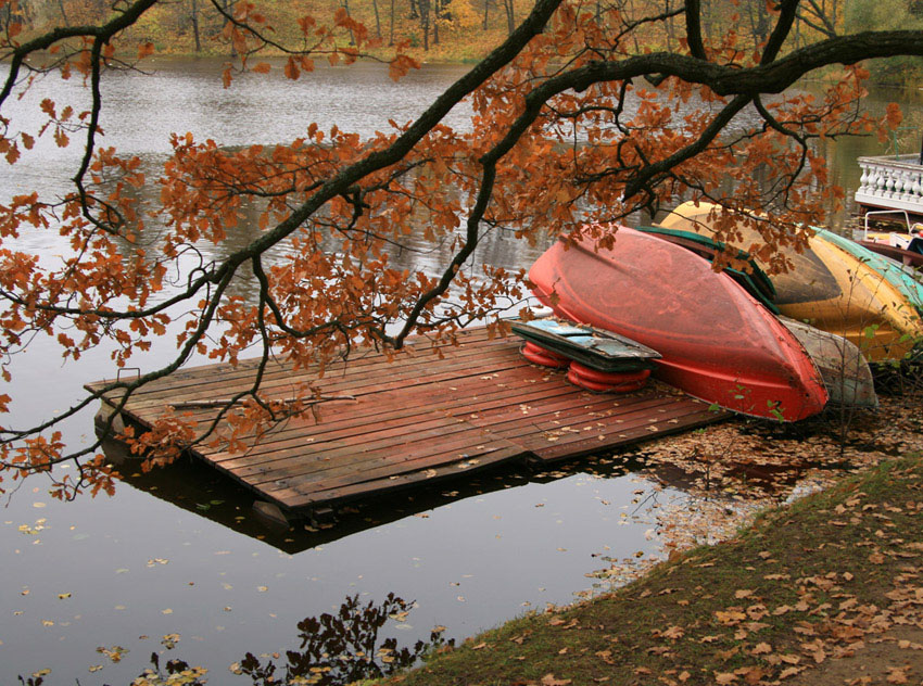 photo "***" tags: landscape, autumn