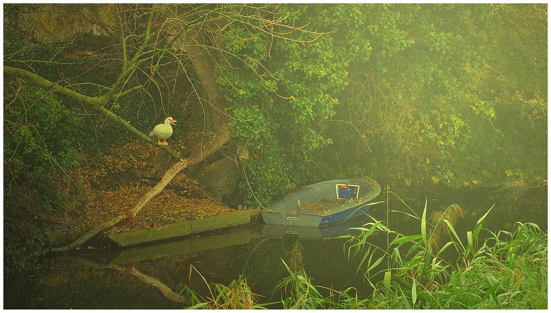 photo "Misty autumn morning." tags: landscape, autumn, water