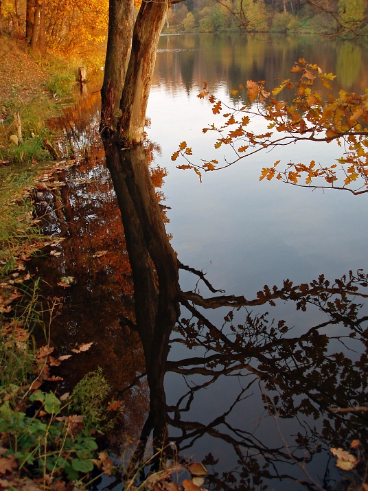 photo "Autumn experiment" tags: landscape, autumn, water