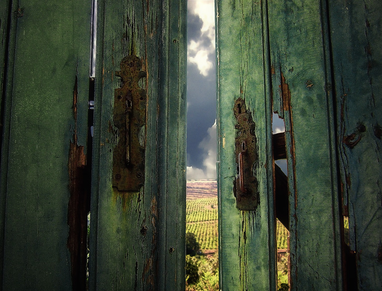 photo "The doors of perception" tags: fragment, misc., 