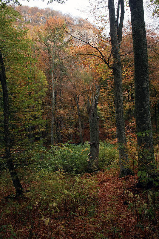 photo "***" tags: landscape, travel, autumn