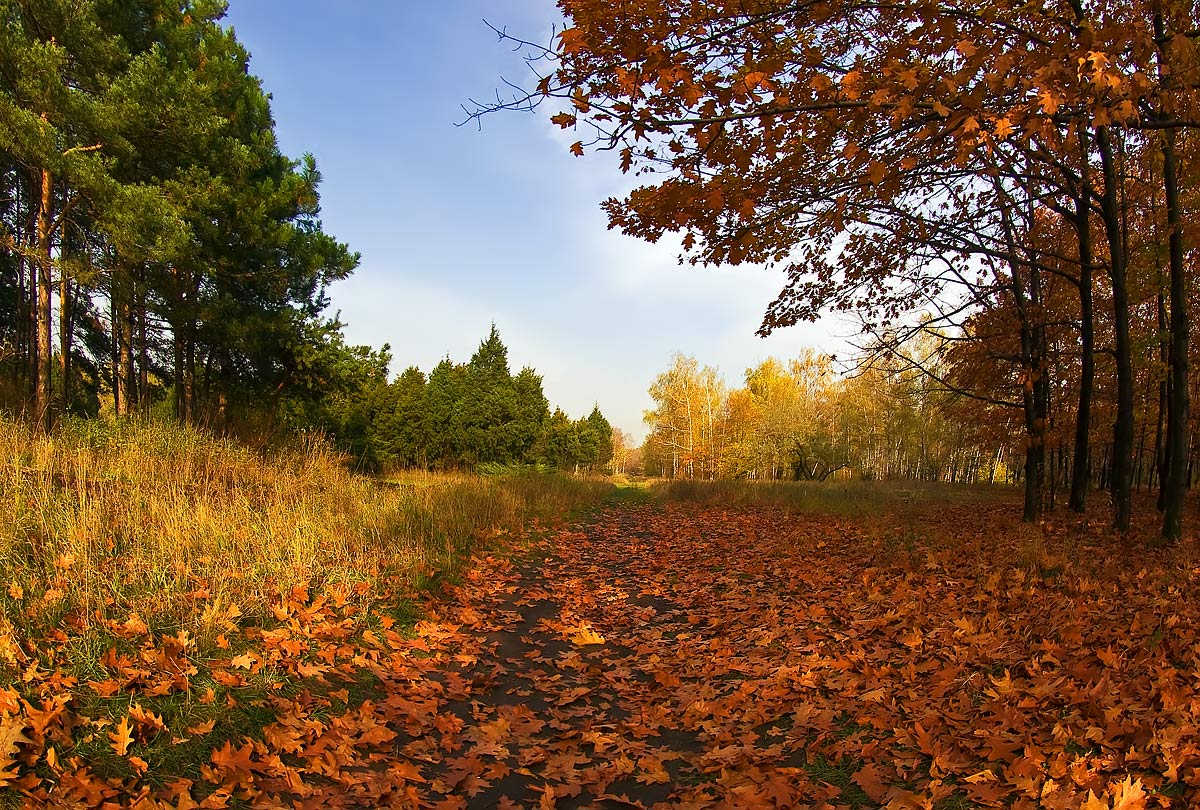 photo "***" tags: landscape, autumn