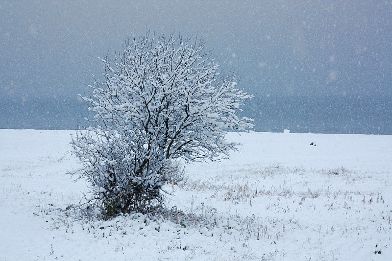 photo "***" tags: landscape, winter