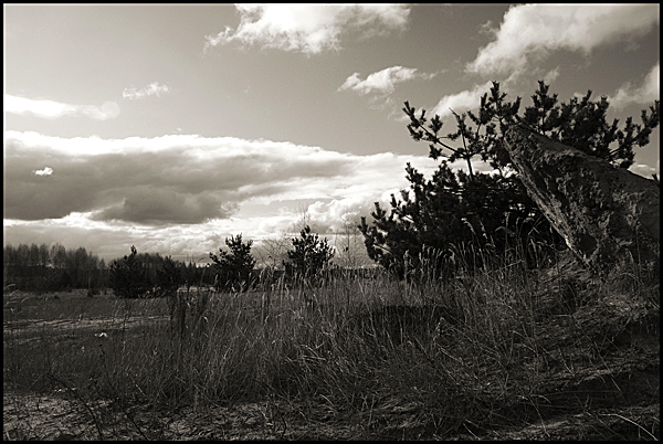 photo "***" tags: landscape, autumn