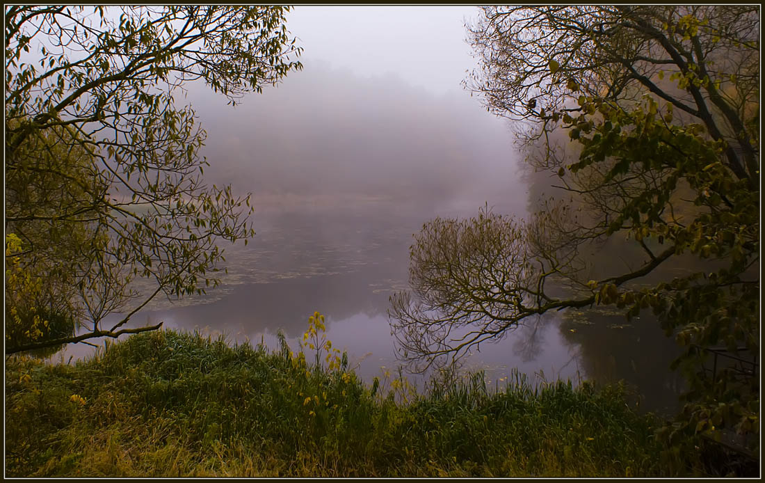 photo "The last flower" tags: landscape, autumn