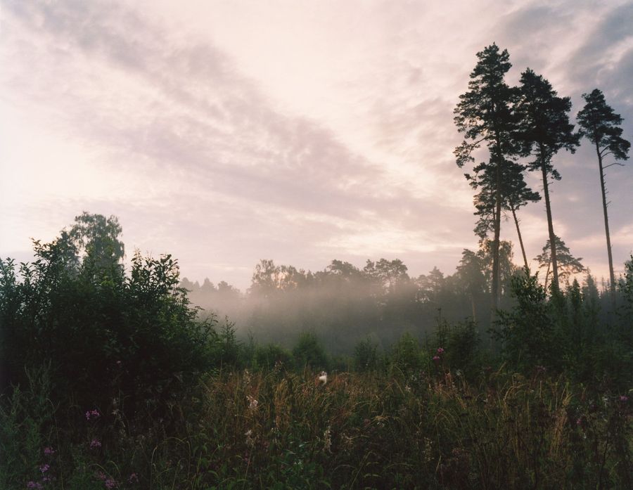 photo "***" tags: landscape, summer, sunset