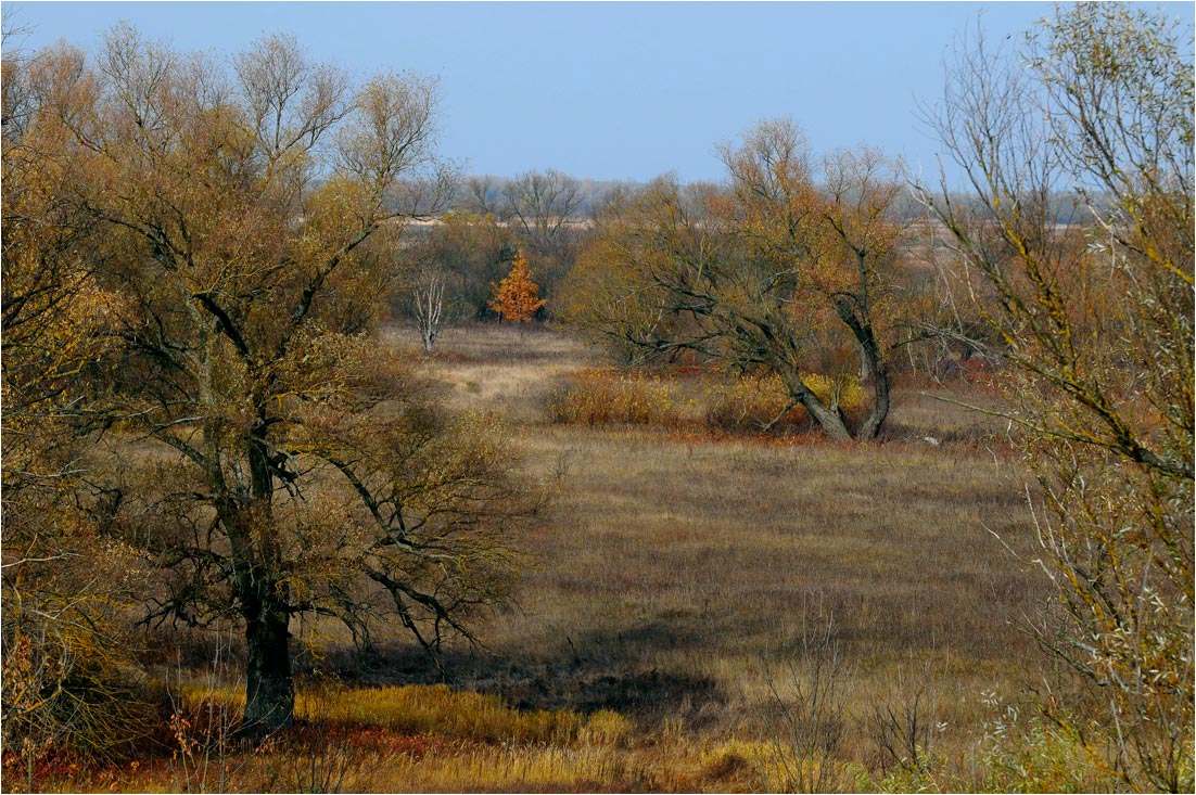 photo "***" tags: landscape, autumn