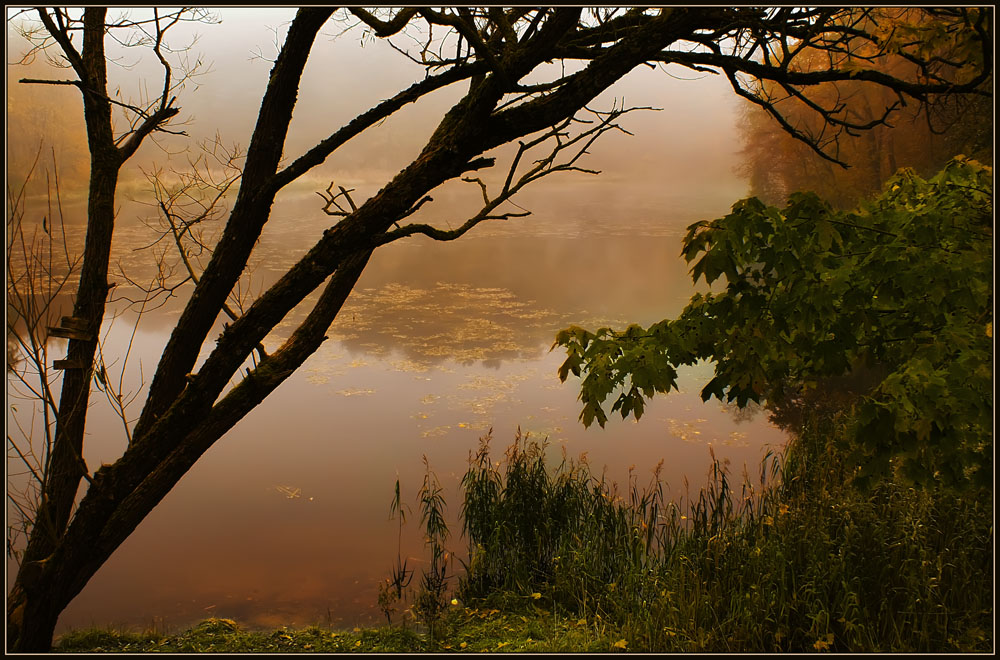 photo "The mist" tags: landscape, autumn