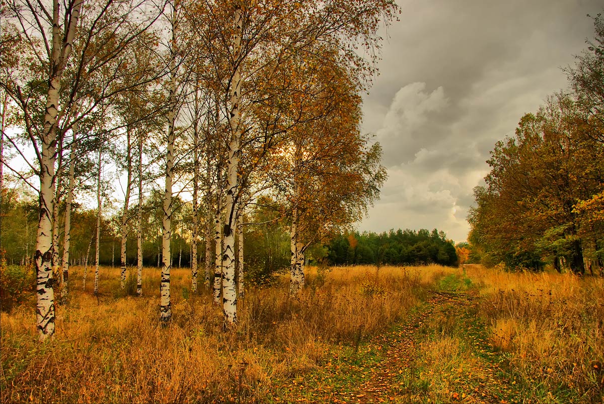 photo "***" tags: landscape, autumn