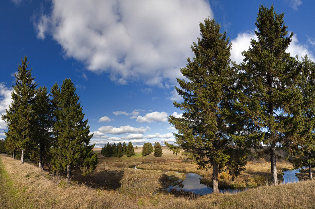 photo "***" tags: landscape, autumn