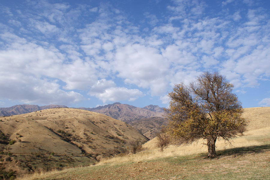 фото "Осень Каржантау" метки: пейзаж, горы, осень