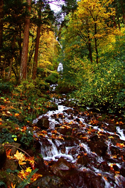 photo "А вода по камешкам ....." tags: landscape, autumn, forest