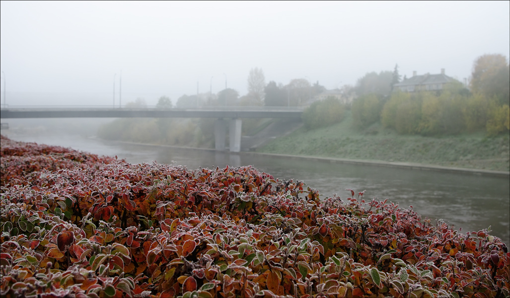 photo "***" tags: landscape, autumn