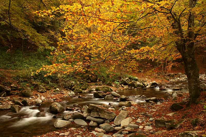 фото "Fall over the river" метки: пейзаж, осень