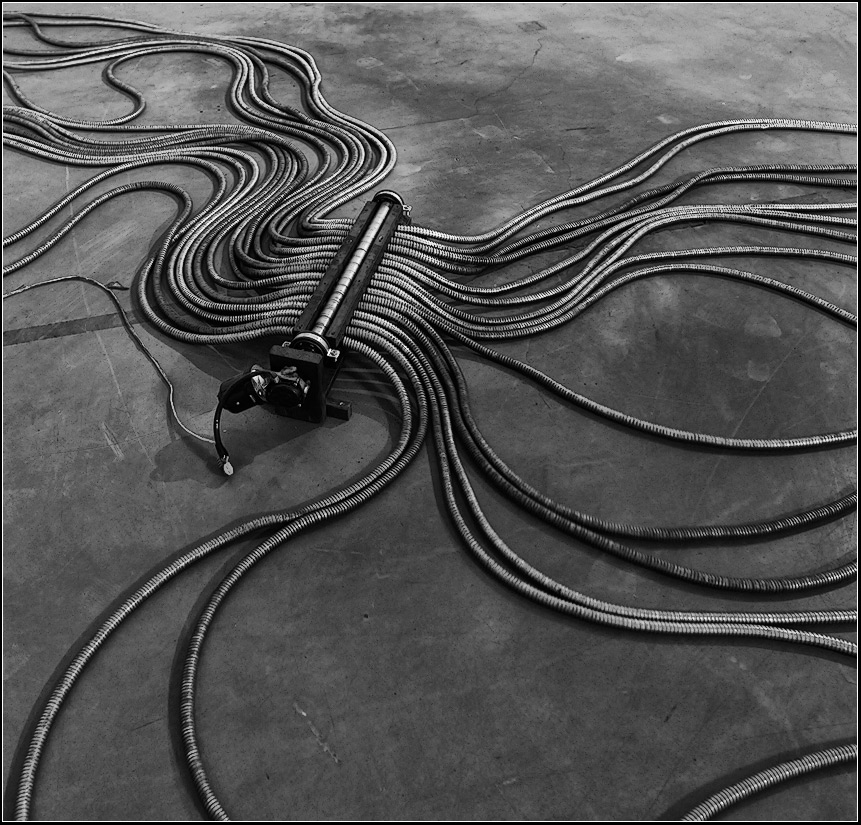photo "Octopus" tags: misc., still life, 