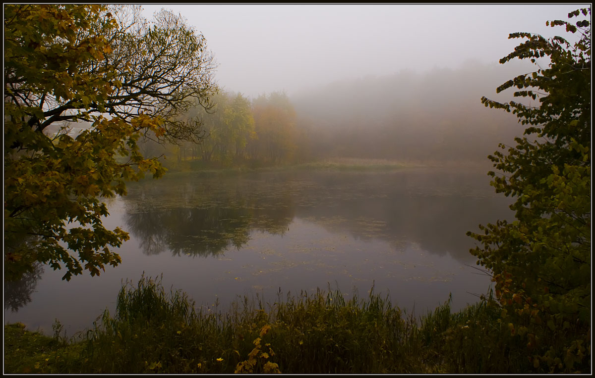 фото "Туманная дремота осени" метки: пейзаж, осень