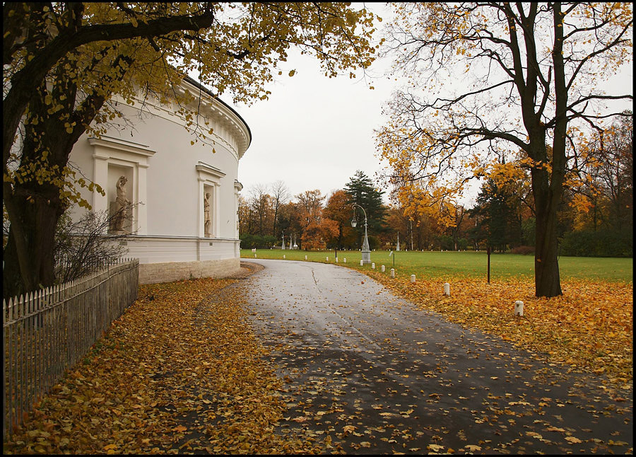 фото "Елагин остров. Золотая осень (3)" метки: пейзаж, осень