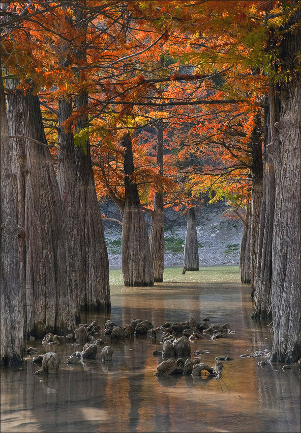 photo "***" tags: landscape, autumn