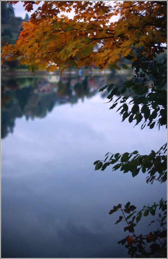 photo "Dreaming (Diffuse reflection)" tags: landscape, autumn, water