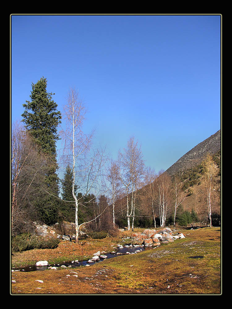 photo "***" tags: landscape, autumn