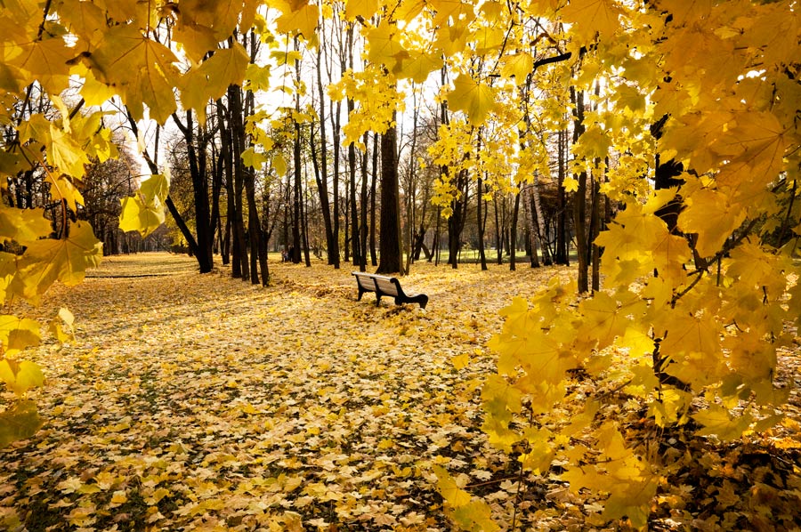 photo "***" tags: landscape, autumn