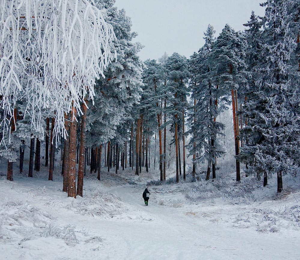 фото "С рыбалки" метки: пейзаж, зима