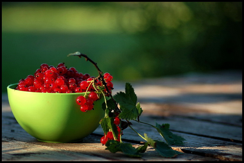 photo "***" tags: still life, 