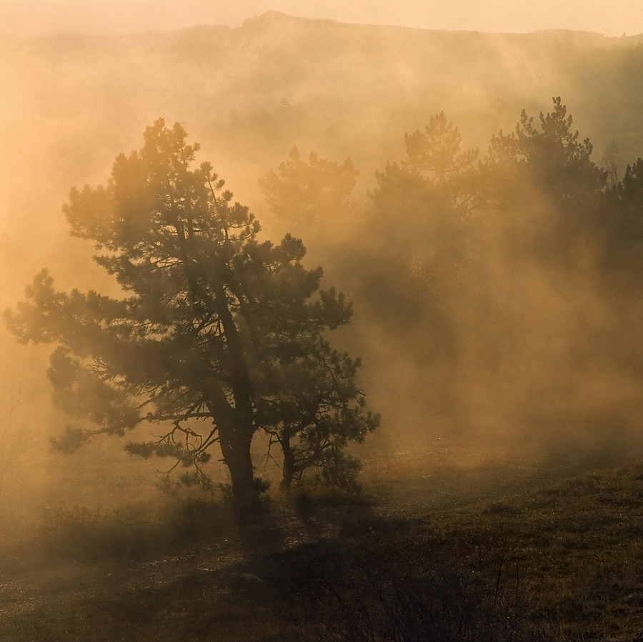 photo "***" tags: landscape, mountains