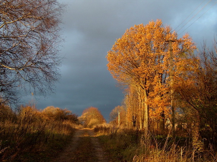 photo "***" tags: landscape, autumn