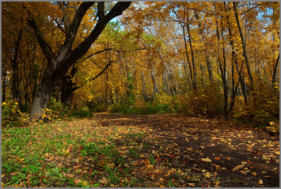 photo "***" tags: landscape, autumn