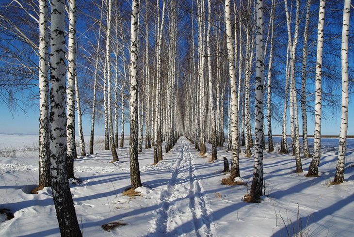 photo "***" tags: landscape, winter