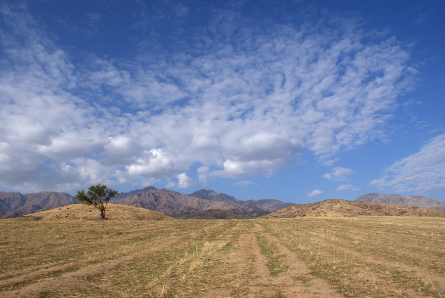 photo "***" tags: landscape, autumn, mountains