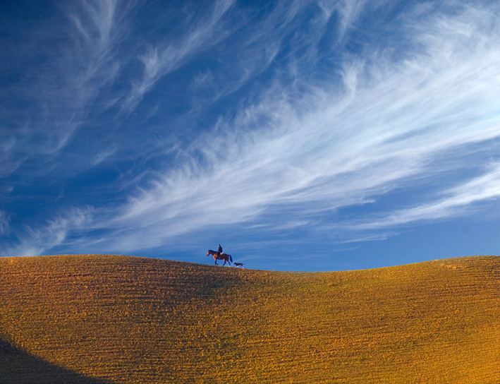 photo "The lonely shepherd." tags: landscape, autumn