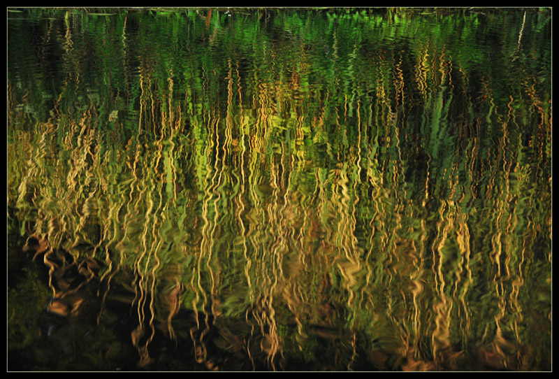 photo "the river refection" tags: landscape, abstract, water