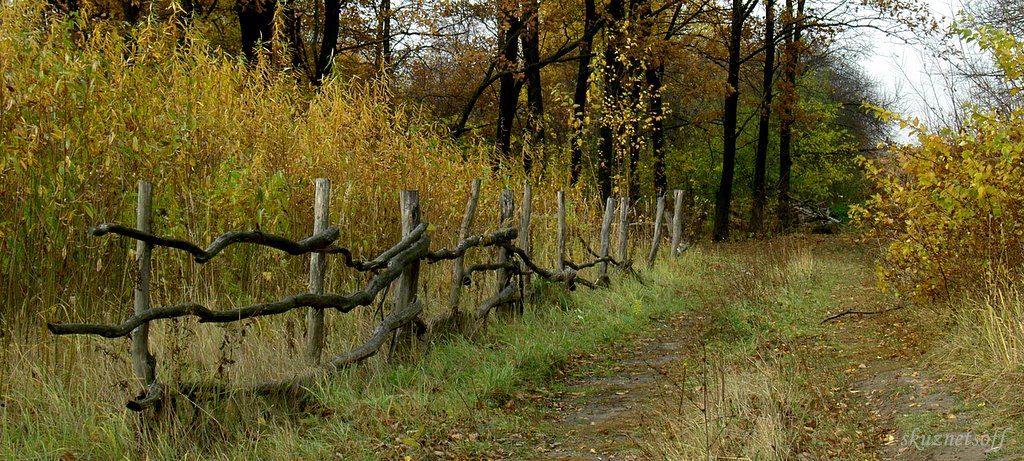 фото "Осенняя зарисовка" метки: пейзаж, лес, осень