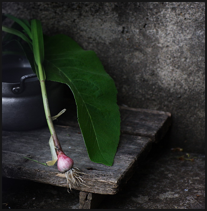 photo "***" tags: still life, 