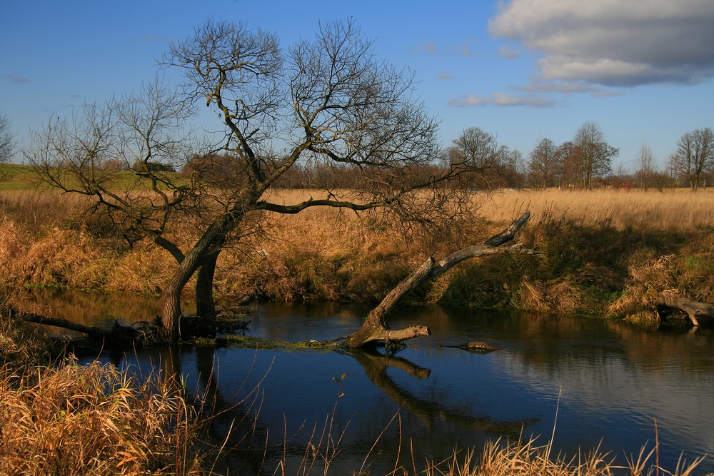 photo "****" tags: landscape, autumn