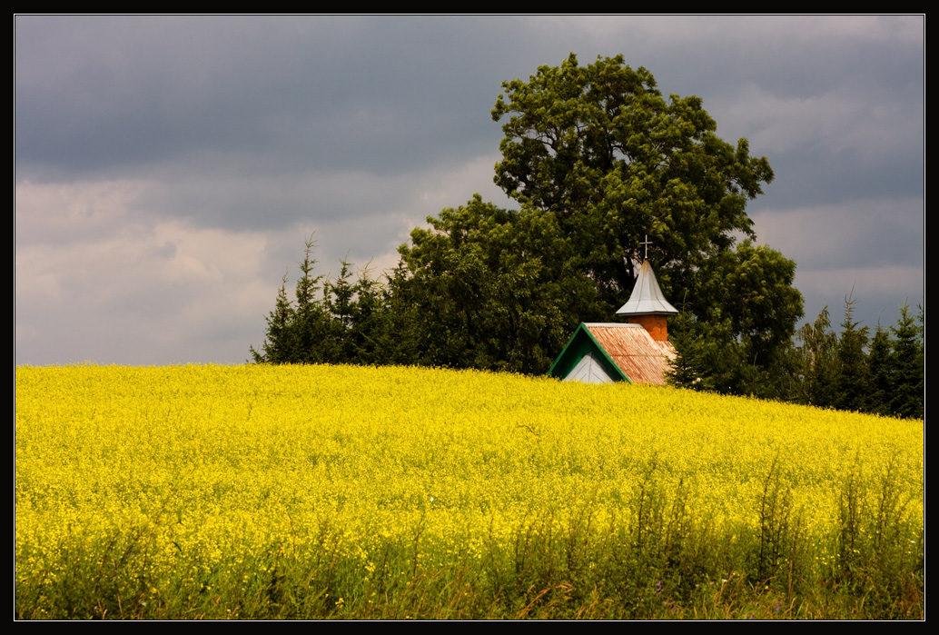 photo "***" tags: landscape, architecture, summer