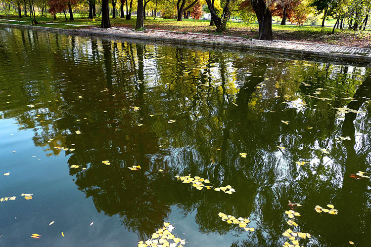 photo "Autumn reflections." tags: landscape, autumn, water