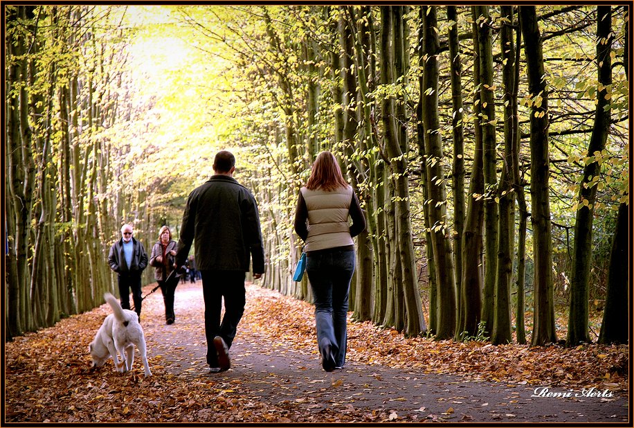 фото "health walk" метки: пейзаж, портрет, осень