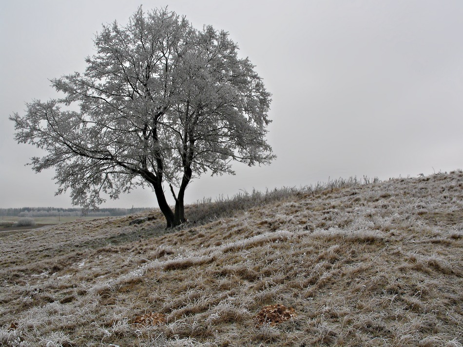 photo "***" tags: landscape, winter